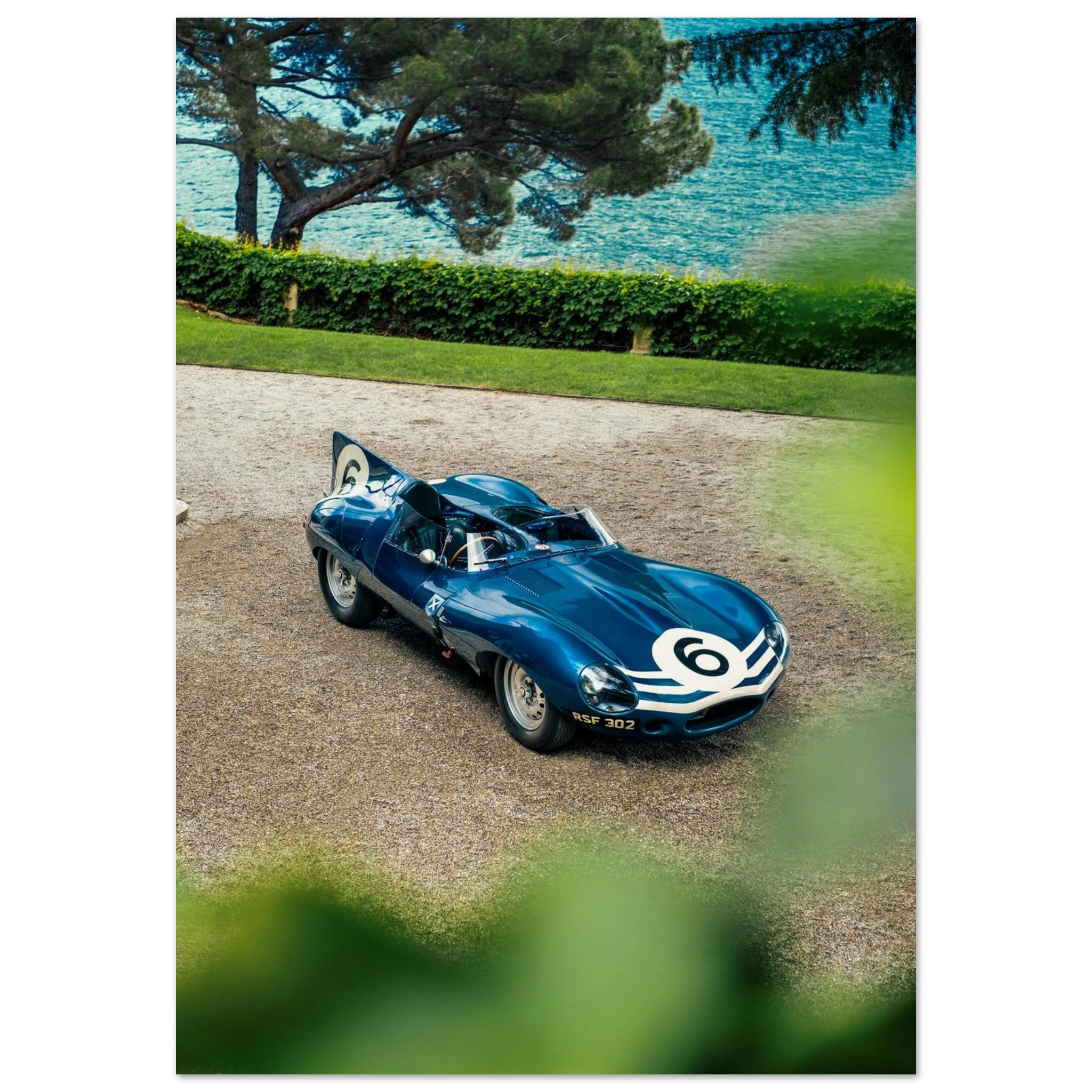 Jaguar D-Type 1956