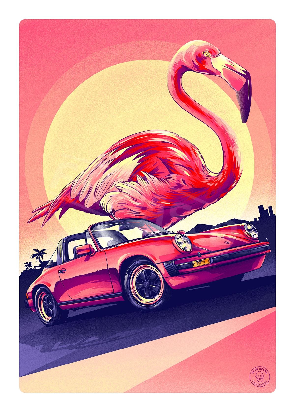 Porsche 911 Flamingo