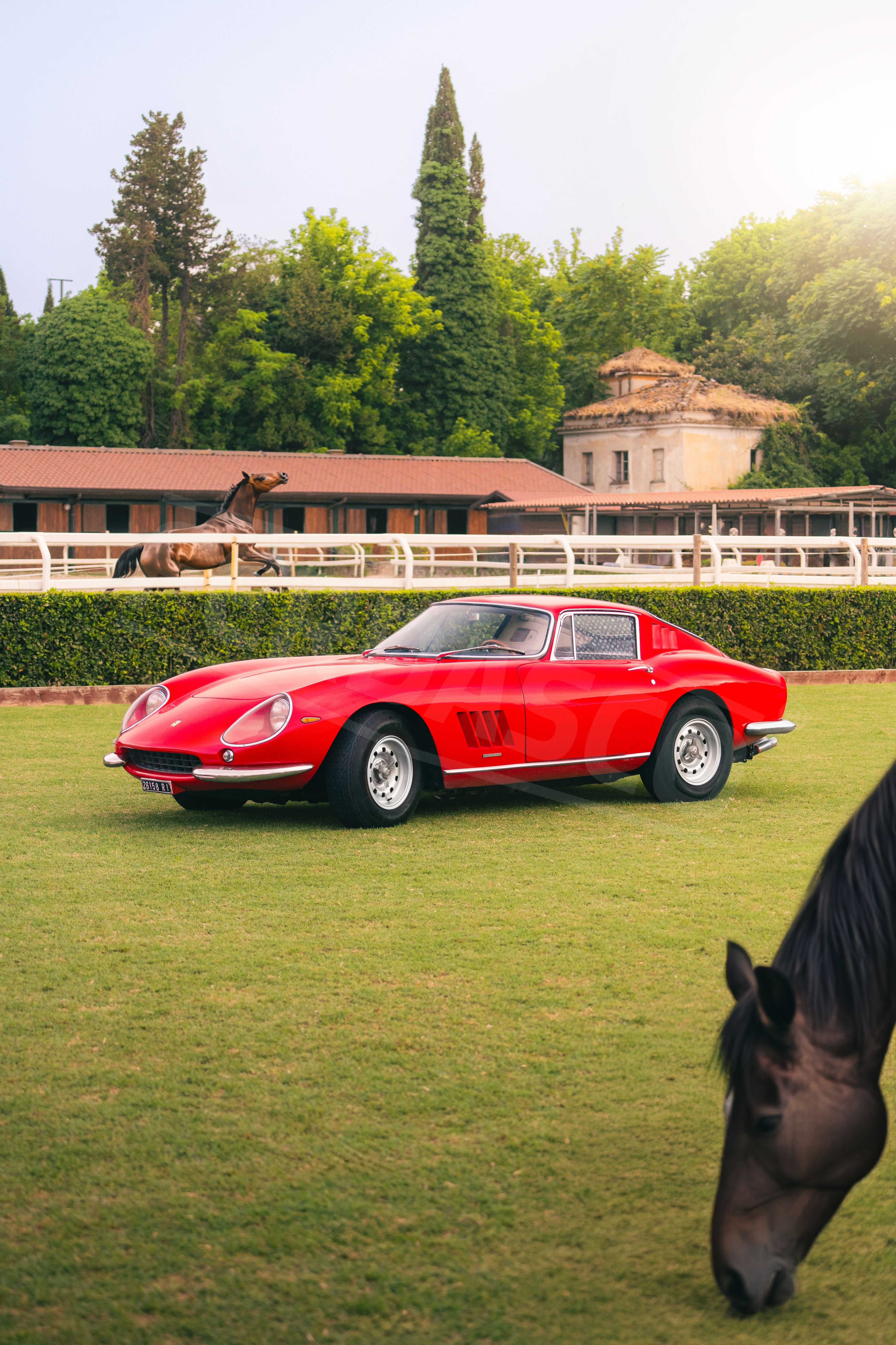 Ferrari 275 GTB REB Concours