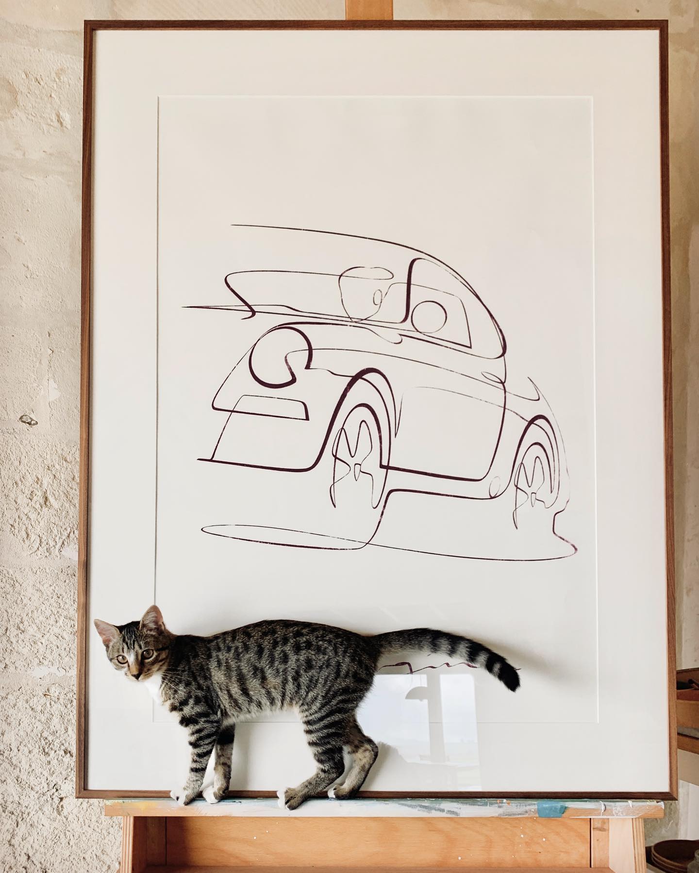 One line of 911 Aubergine