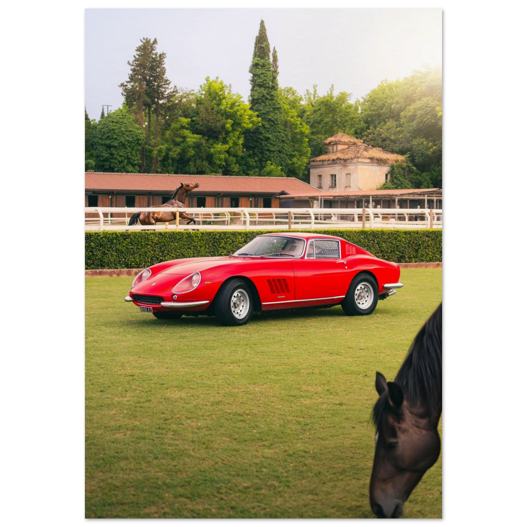 Ferrari 275 GTB REB Concours